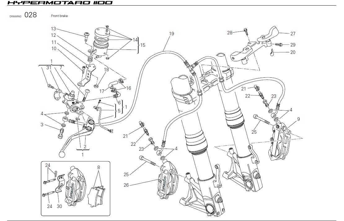 Diagram Front brake for your Ducati