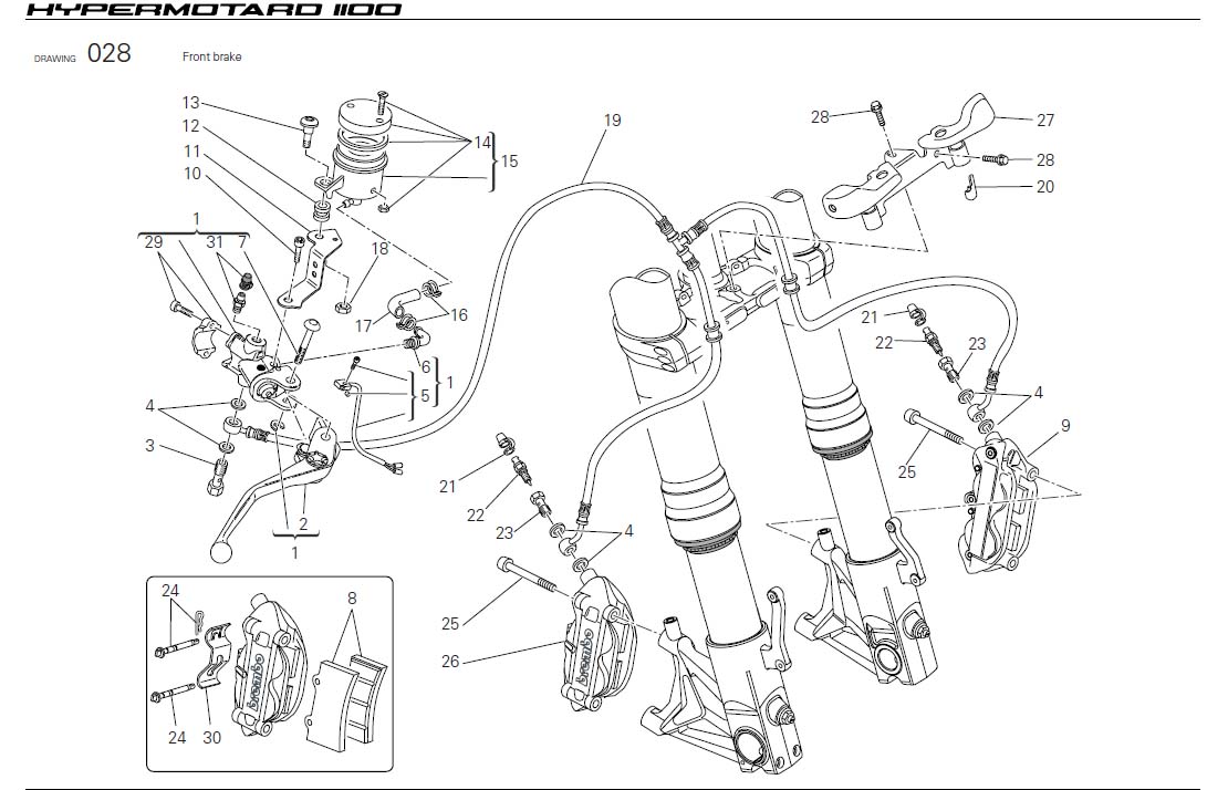 Diagram Front brake for your Ducati