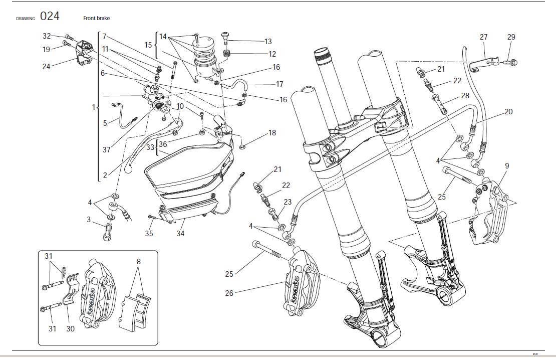 Diagram Front brake for your Ducati