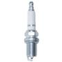 Image of Spark Plug , Briggs Animal Champion RC12YC image