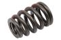 Engine Valve Spring