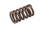 Engine Valve Spring