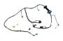 10398017 Door Wiring Harness (Front)