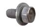 View Bolt.  Full-Sized Product Image 1 of 1