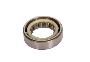 Manual Transmission Output Shaft Bearing (Rear)