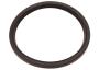 Image of Thermostat. Gasket. Seal. 2nd Design. Engine. image for your 1995 Chevrolet K2500  Base Standard Cab Pickup Fleetside 4.3L Chevrolet V6 A/T 