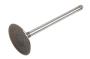 12564494 Engine Intake Valve