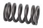 Image of Engine Valve Spring image for your 1985 Buick Century   