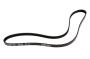 Image of Serpentine Belt image for your 1991 Buick Century   