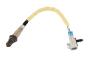 12616202 Oxygen Sensor (Rear)