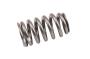 Engine Valve Spring