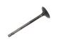 12631974 Engine Exhaust Valve