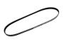 12634321 Serpentine Belt