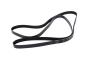 Image of Serpentine Belt image for your 2005 Chevrolet Silverado 2500 HD LS Crew Cab Pickup 6.0L Vortec V8 CNG A/T RWD 