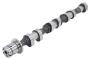 Image of Engine Camshaft image for your 2013 Chevrolet Express 3500 Base Standard Cargo Van 6.0L Vortec V8 CNG A/T 