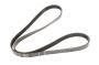 12643218 Serpentine Belt