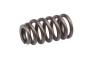 Image of Engine Valve Spring image for your 1985 Buick Century   