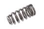 View Engine Valve Spring Full-Sized Product Image 1 of 1