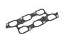 Engine Intake Manifold Gasket (Lower)