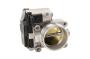 Fuel Injection Throttle Body