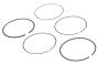 12689005 Engine Piston Ring