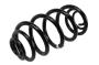 Coil Spring (Rear)