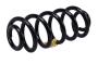 13366701 Coil Spring (Rear)