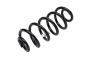 13366708 Coil Spring (Rear)