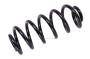 13366736 Coil Spring (Rear)