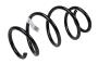 13367033 Coil Spring (Front)