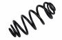 13411115 Coil Spring (Rear)