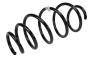 13439098 Coil Spring (Front)