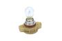 Fog Light Bulb (Front)