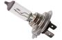 Image of Headlight Bulb image for your Buick Century  