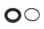 Disc Brake Caliper Seal Kit (Rear)