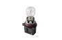 13582913 Bulb. Light. Fog. Lamp.
