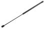 15161944 Back Glass Lift Support