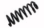 15219458 Coil Spring (Rear)