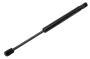 Image of Trunk Lid Lift Support image for your Pontiac