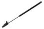 Image of Liftgate Lift Support image for your 2001 Chevrolet Blazer LT Sport Utility 4.3L Vortec V6 A/T 4WD 