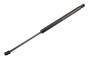 15872898 Liftgate Lift Support