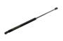 15872899 Liftgate Lift Support