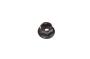 15982497 Quarter Panel Splash Shield Nut