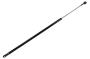 16604428 Liftgate Lift Support