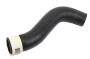 Radiator Coolant Hose (Lower)