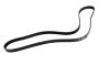 Serpentine Belt