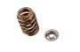 View Engine Valve Spring Full-Sized Product Image 1 of 1
