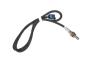 19353136 Oxygen Sensor (Rear, Lower)