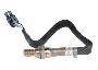 19355308 Oxygen Sensor (Rear, Upper, Lower)