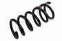 20839863 Coil Spring (Rear)